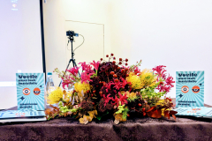 PXL_20251115_065303478.MP2_